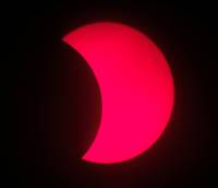 The Sun through a hydrogen alpha filter showing prominences