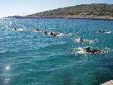 Swim at Ravni Zakan