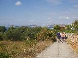 Walking on Prvic