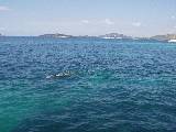 Hayley swimming at Prvic