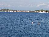 Looking back at Prvic from Tijat, after the swim