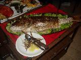 The Big Fish