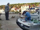 Cats waiting for fish on Zlarin