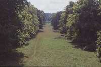 The Avenue