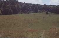 The far end - towards the bench with the great view