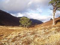 Glen Derry