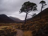 The Path To Loch Etchachan