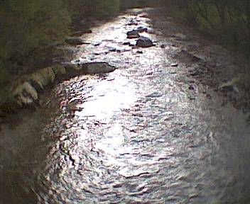 The stream at the end