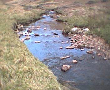 The stream at the start